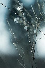 类大乱斗《以太之战2》众筹 不到一周达目标3倍